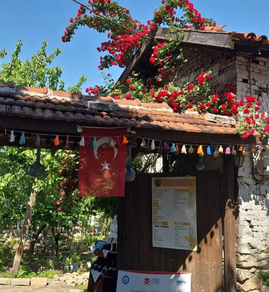 Instagram gönderisi 1